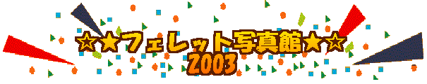 �����t�F���b�g�ʐ^�ف��� �@�@�@�@�@2003