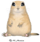 �v���[���[�n�E�X