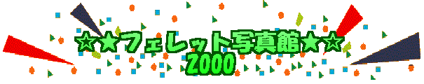 �����t�F���b�g�ʐ^�ف��� �@�@�@�@�@2000