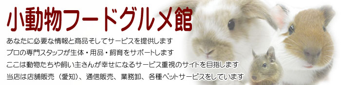あなたに必要な情報と商品そしてサービスを提供します